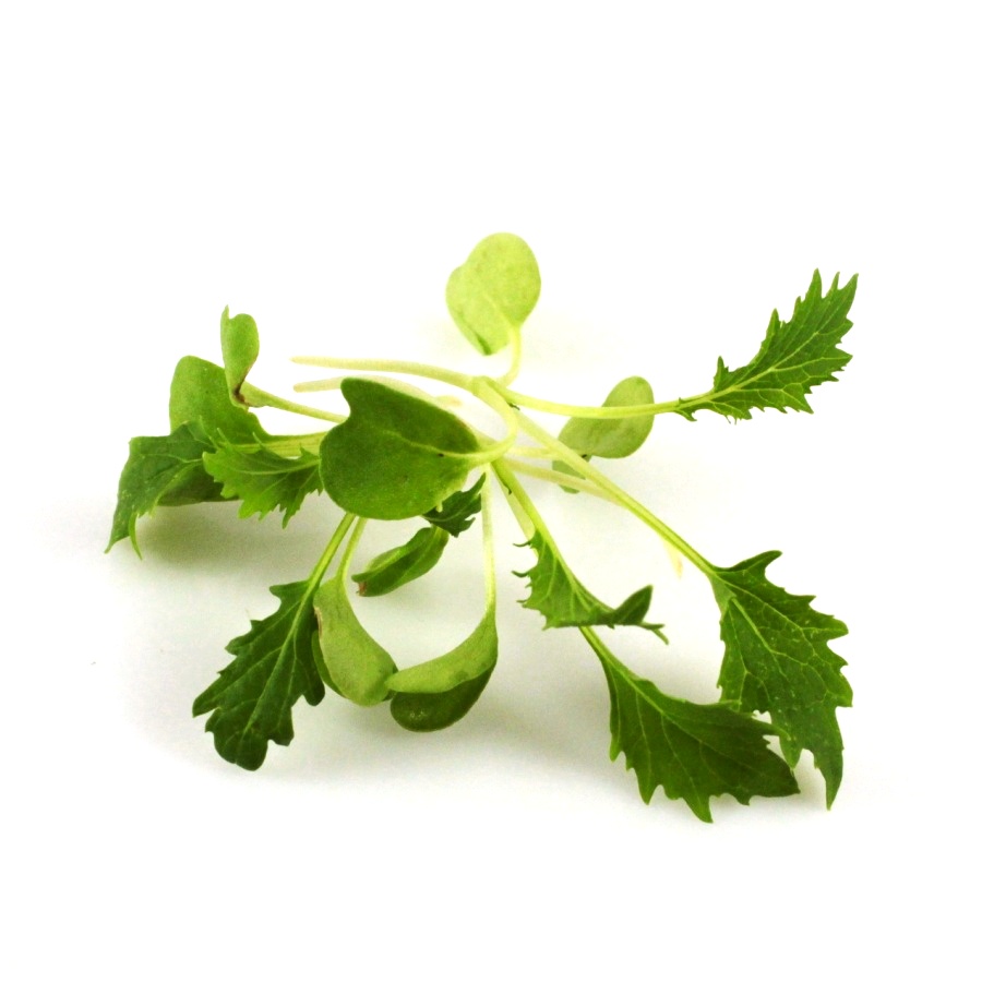 Mizuna green na mikrozeleninu 100g